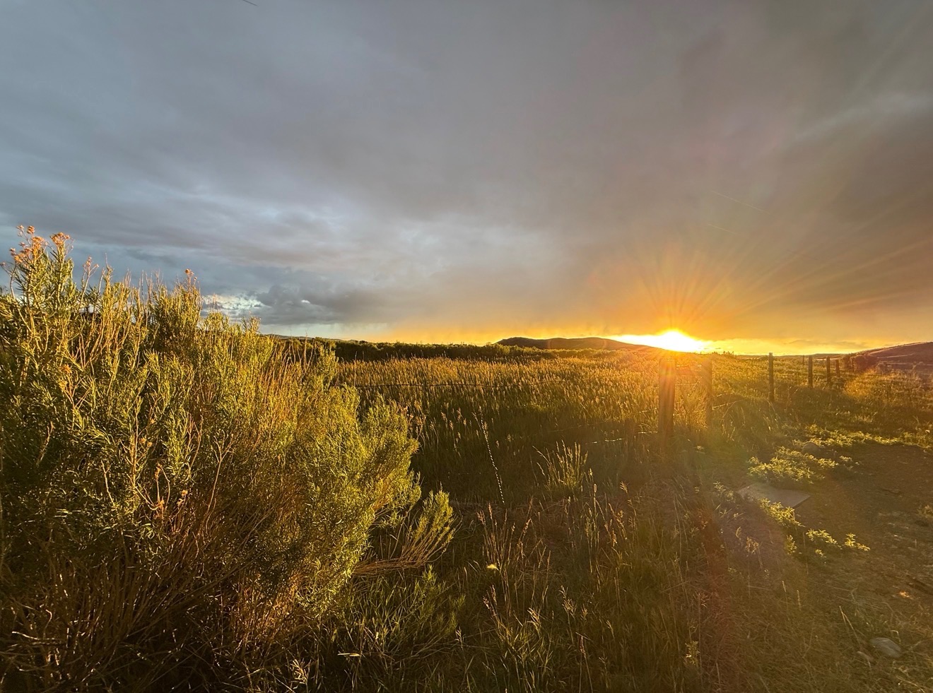 Sunset over a Wyoming prairie — golden light across sagebrush, grasses, and a fence line